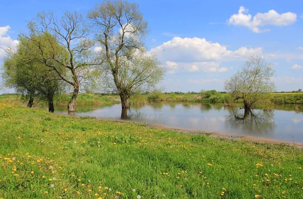 Prado do vale do rio na primavera — Fotografia de Stock