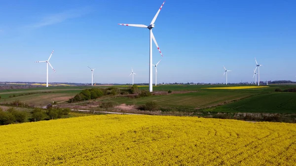 Windturbines Boerderij Omgeven Door Gele Verkrachtingsvelden Pommeren Polen — Stockfoto