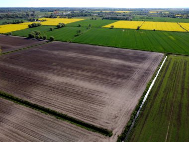 Polonya 'nın Zulawy Wislane bölgesindeki drenaj kanalları