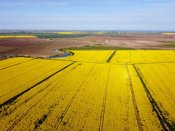 Zulawy Wislane Noord Polen Boerderij Het Voorjaar — Stockfoto