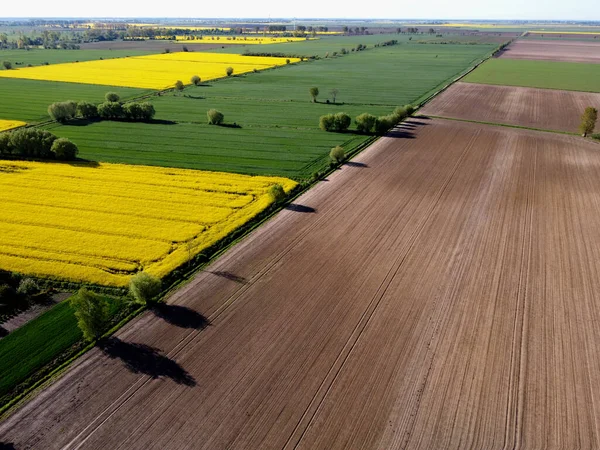 Zulawy Wislane Visto Desde Arriba Primavera Polonia — Foto de Stock