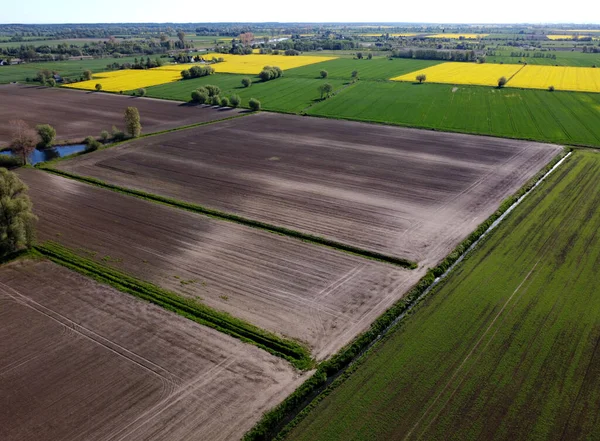 Hava manzaralı, Zulawy Wislane, Polonya