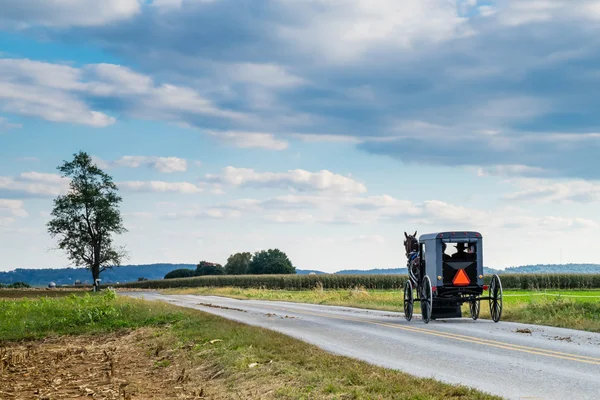 Amish cavalo puxado transporte — Fotografia de Stock