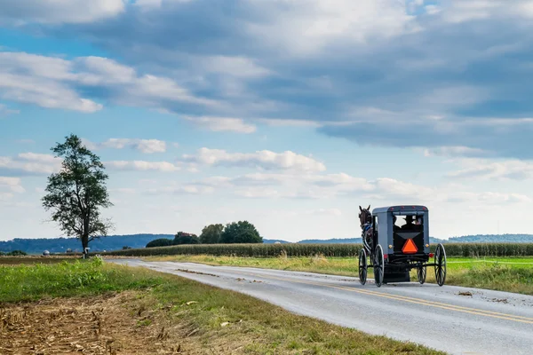 Chariot tiré par un cheval amish — Photo