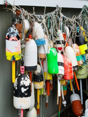 Dubalar ıstakoz toplama asılı bir duvar