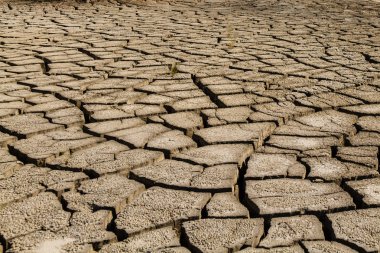 Kuru çatlamış toprak