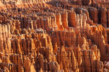 Bryce Canyon hoodoos