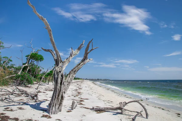 Strand von la costa — Stockfoto