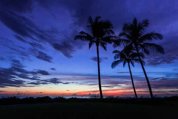 Tropical Sunset Silhouette — Stock Photo, Image