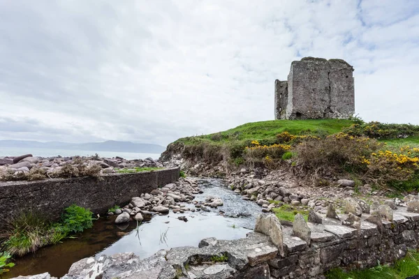 Ruinen der Minardenburg, County Kerry, Irland Stockbild
