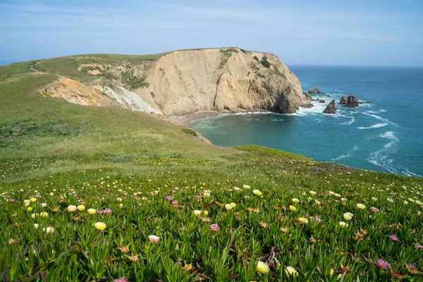 Point Reyes Marítima nacional na Califórnia — Fotografia de Stock