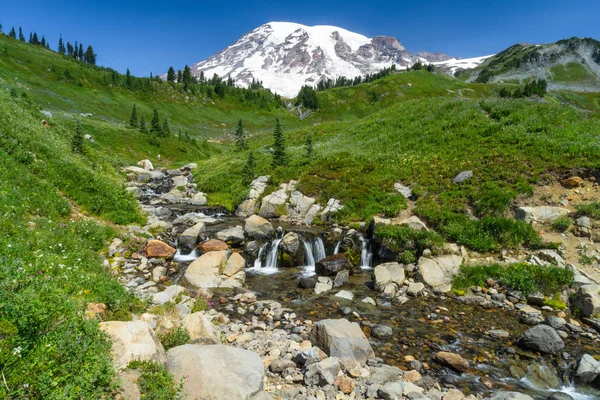 Mount Rainier with a glacier stream and wildflowers — Stock Photo, Image