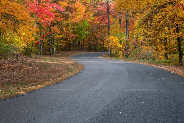 Hösten bladverk road — Stockfoto