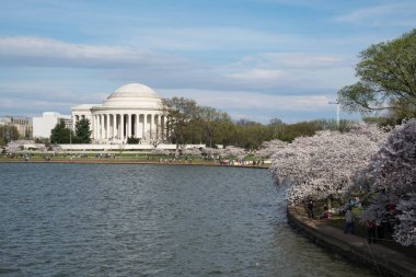 Jefferson Memorial Cherry Blossom Festivali sırasında