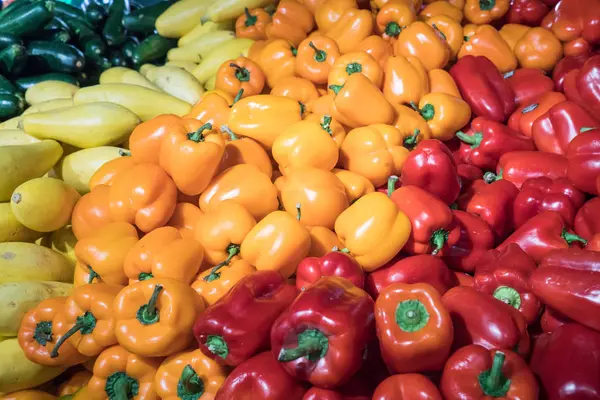 stock image Fresh Vegetables in Market