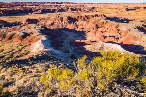 Arizona desierto pintado — Foto de Stock