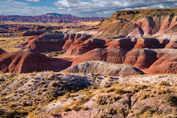 Arizona desierto pintado — Foto de Stock