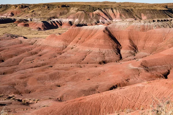 Arizona desierto pintado — Foto de Stock