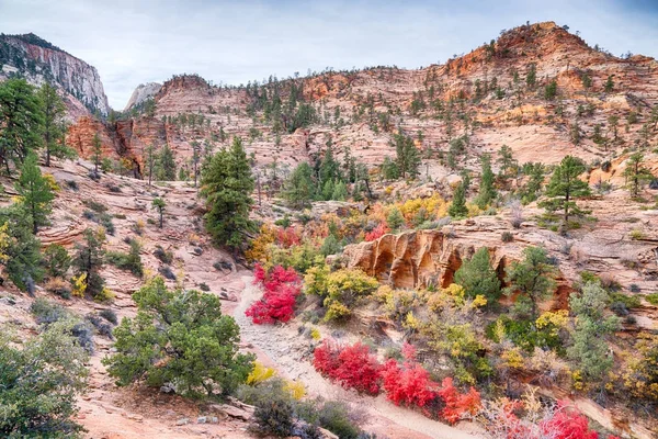 Hösten i Zion National Park — Stockfoto