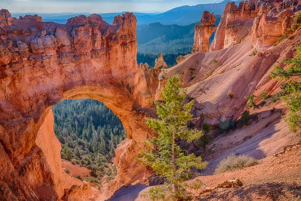 Naturliga arch — Stockfoto