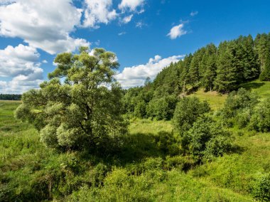 Yazın insansız hava aracından çekilen yeşil ormanın ortasındaki nehir.