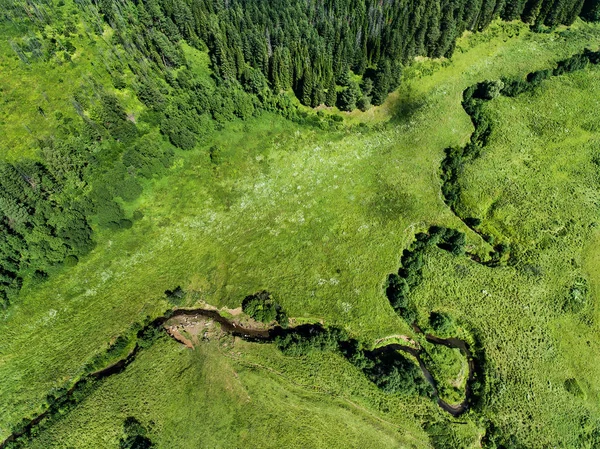 River Green Forest Shot Drone Summer — стоковое фото