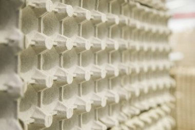 Tavuk yumurtaları için paketleme dükkânda yumurta ayıklamak için üretiliyor.