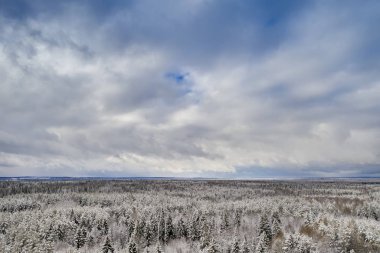 Kışın bir kuadrokopterden alınan bulutlu havada karla kaplı ormanlı mavi gökyüzü