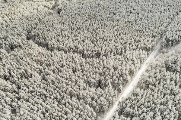Дорога Заснеженном Лесу Квадрокоптером Тайге Зимой — стоковое фото
