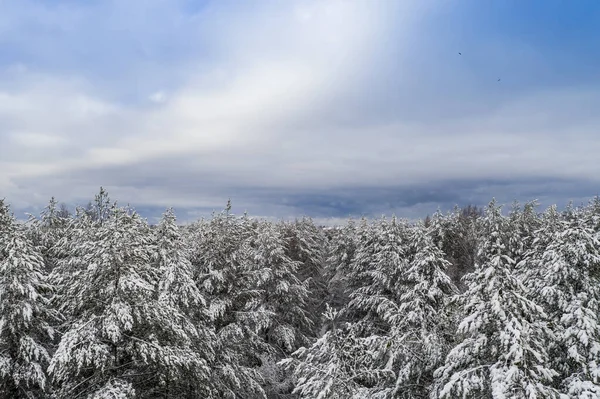 Cielo Azul Con Bosque Cubierto Nieve Tiempo Nublado Tomado Cuadrocoptero — Foto de Stock