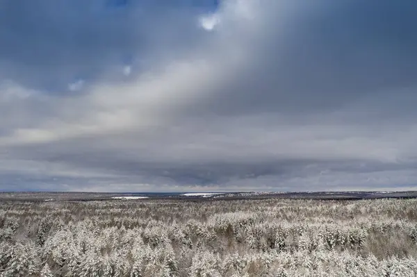 Cielo Azul Con Bosque Cubierto Nieve Tiempo Nublado Tomado Cuadrocoptero —  Fotos de Stock