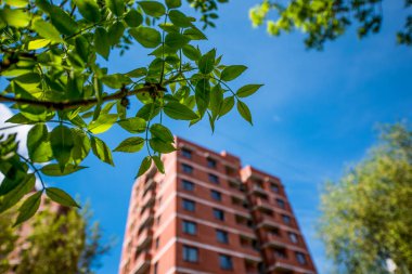 Bir ağacın yeşil yaprakları, mavi gökyüzüne karşı çok katlı tuğlalı yeni bir apartmanın arka planında.
