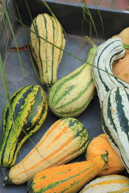 Şükran günü sonbahar dekorasyonları