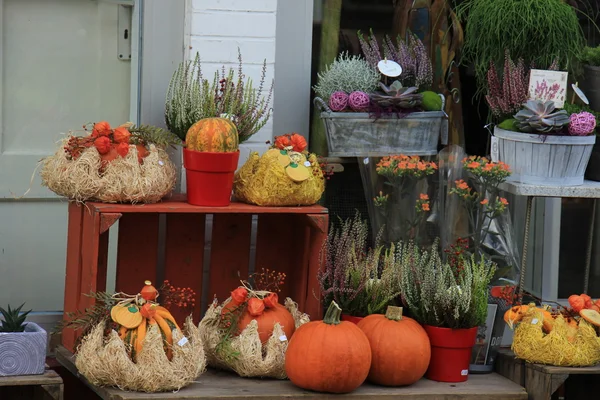 Decoraciones de otoño de Acción de Gracias — Foto de Stock