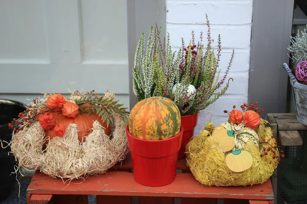 Decoraciones de otoño de Acción de Gracias — Foto de Stock