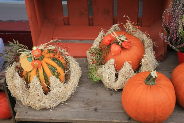Thanksgiving fall decorations — Stock Photo, Image