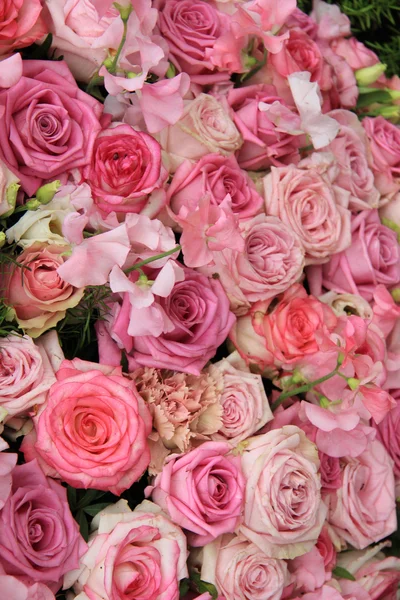 粉红色的混合的玫瑰 — 图库照片