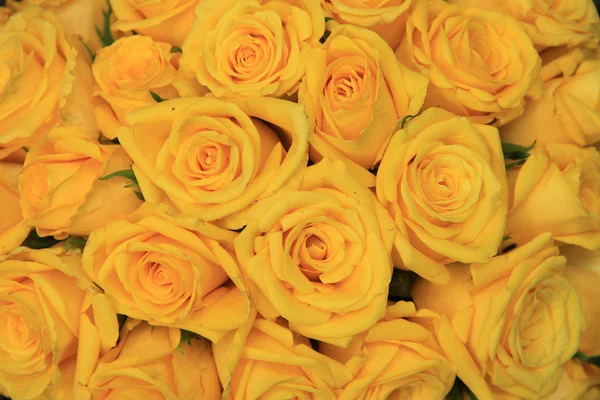 Yellow wedding roses — Stock Photo, Image