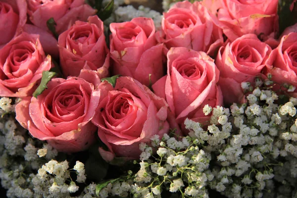 Rosas rosadas y ramo de aliento de bebé — Foto de Stock