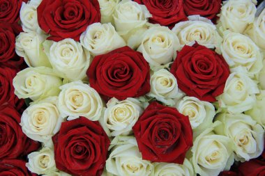 Kırmızı ve beyaz gül düğün düzenleme