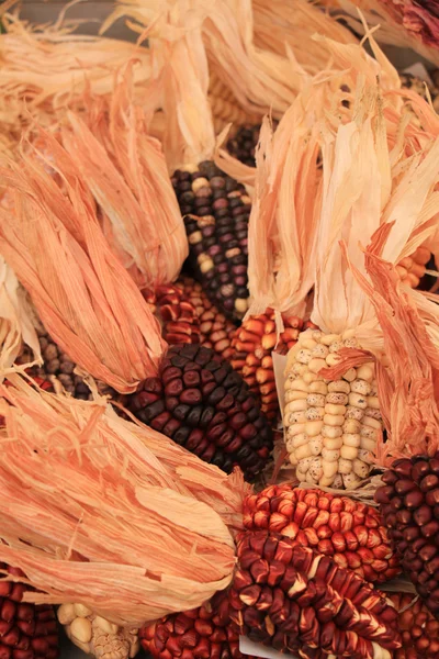Getrocknetes Mais für Herbstdekorationen — Stockfoto