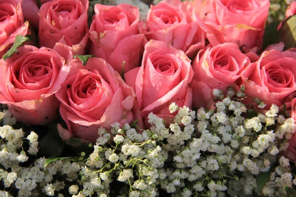 Рожеві троянди і букет дихання дитини — стокове фото