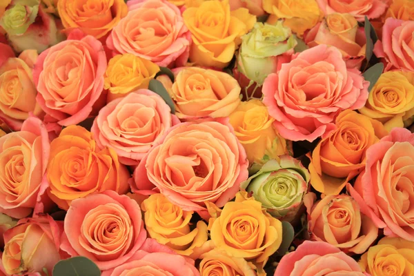 Rosas amarillas y naranjas —  Fotos de Stock