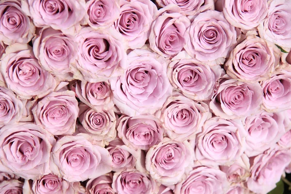 Fialové růže svatební aranžmá — Stock fotografie