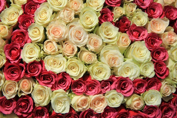 在婚礼的安排的不同色调的粉红玫瑰 — 图库照片