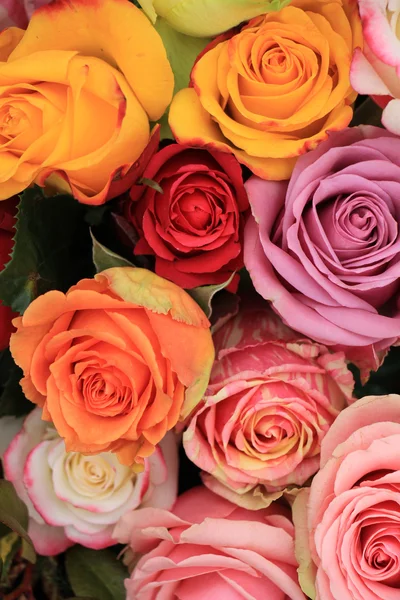 Veelkleurige bruiloft rozen — Stockfoto