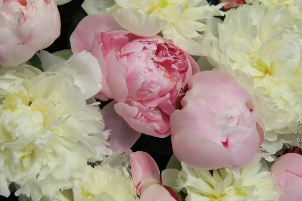 Peonia bouquet da sposa — Foto Stock