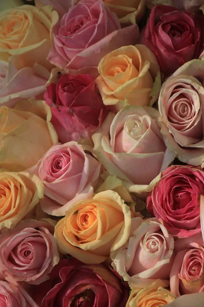 Змішані пастельних троянд — стокове фото