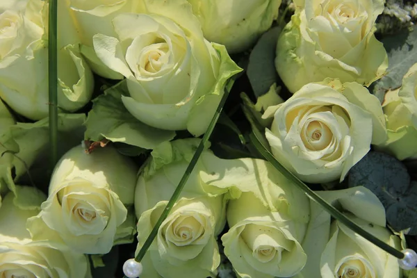 Grandes rosas brancas do casamento — Fotografia de Stock