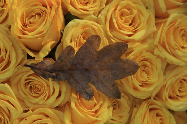 Herbstblatt auf gelben Rosen — Stockfoto